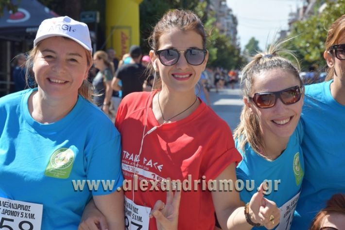 alexandriamou_1_alexandrinos_dromos042